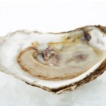 wpid-oyster-021207-460x360.jpg